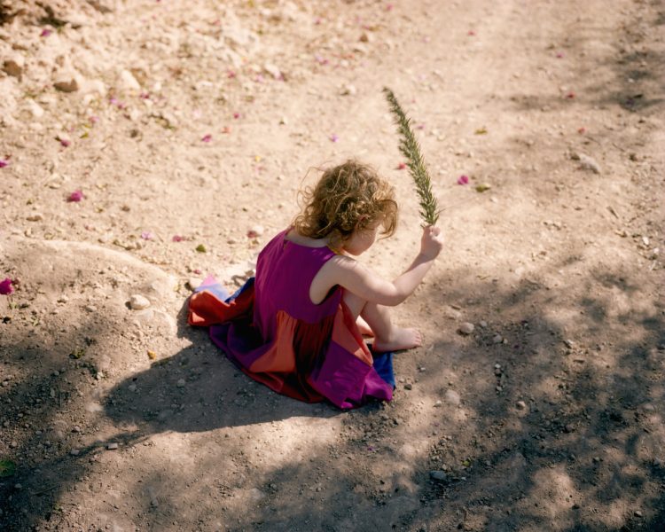 Venetia Dearden Venetia Dearden