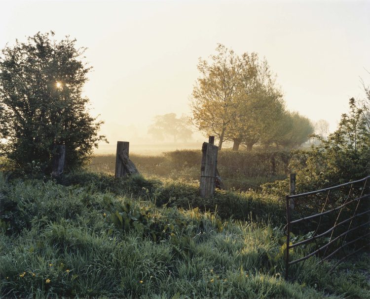 Selected image from the book, 'Somerset Stories, Fivepenny Dreams' taken on journey’s through my homeland in the west country of the UK. 2004-2008 Selected image from the book, 'Somerset Stories, Fivepenny Dreams' taken on journey’s through my homeland in the west country of the UK. 2004-2008